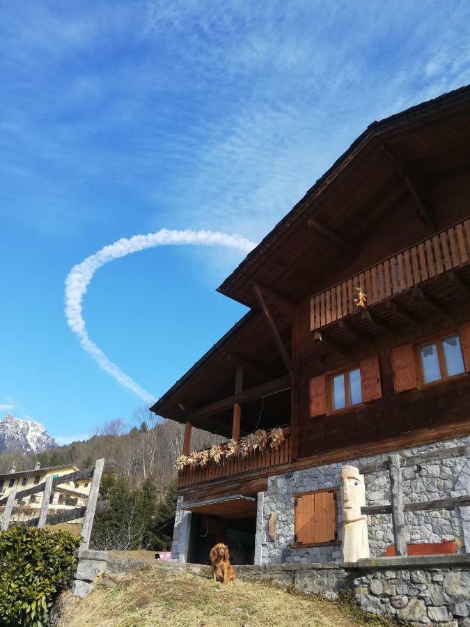 Il Fungo Averara